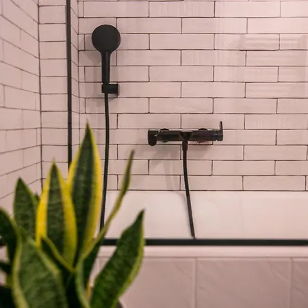 The Coffee House 트리칼라