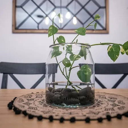 The Coffee House 아파트 트리칼라