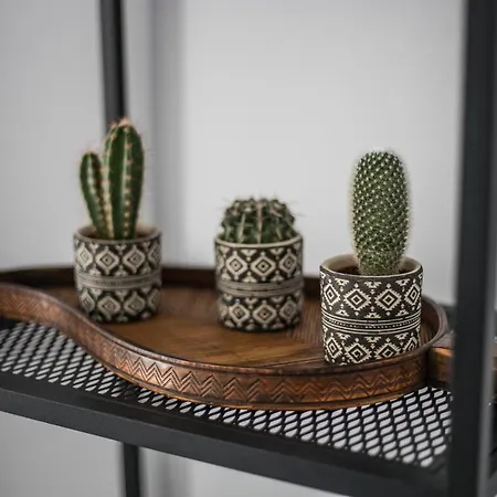 The Coffee House 아파트 트리칼라