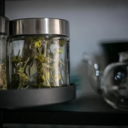 The Coffee House 트리칼라